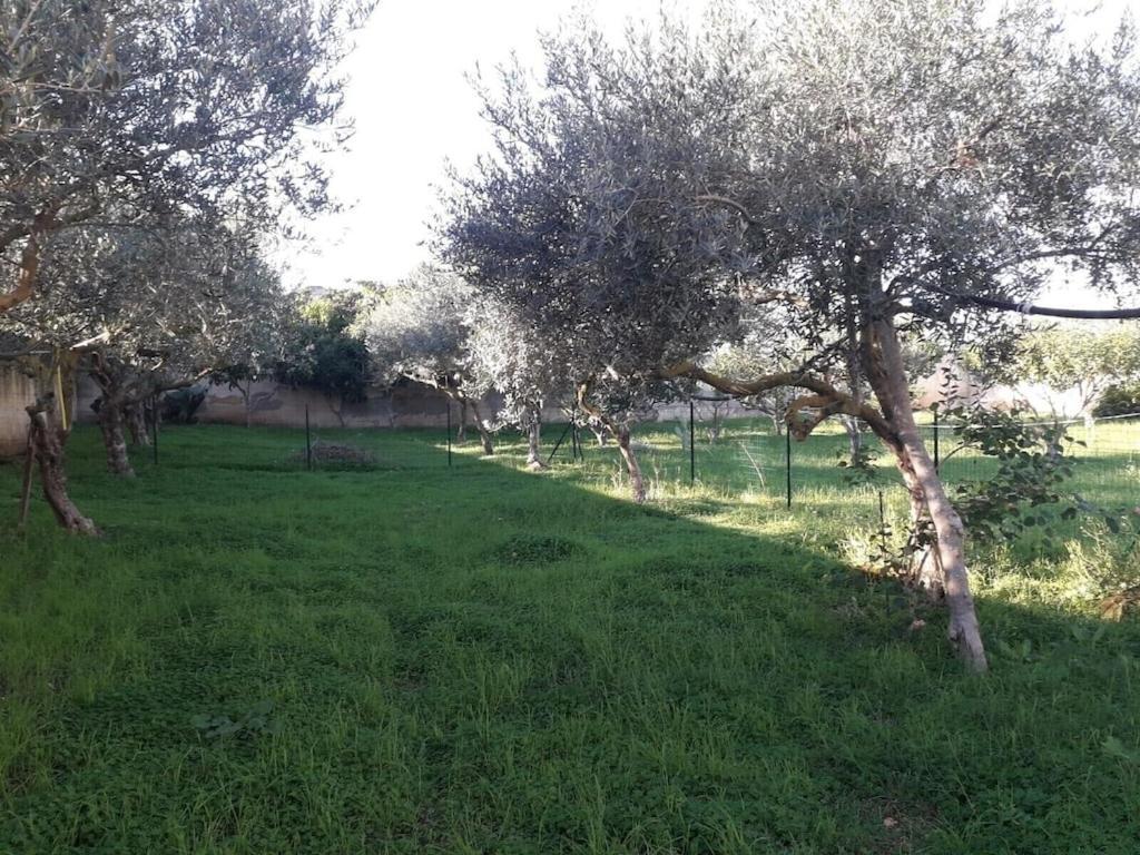Villa Singola A 1300 Mt Dal Mare Mazara del Vallo Exterior foto